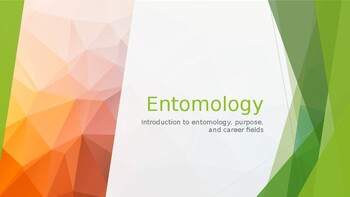 Intro to Entomology by Allison Horne | TPT