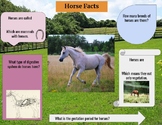 Intro to Equine Interactive Notebook (Student)