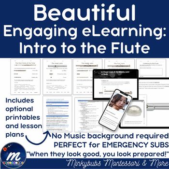 Preview of Intro to Flute Lesson Plans Paper Based and Digital Included No Prep