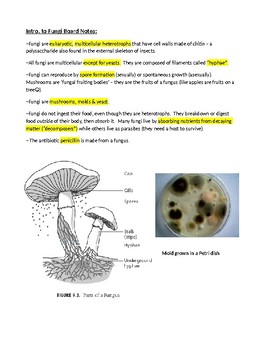 Preview of Intro to Fungi Notes, Assignment and KEY