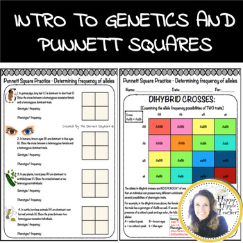 Preview of Genetics Punnett Square Activity