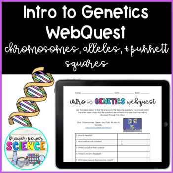 Preview of Intro to Genetics WebQuest