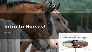 Preview of Intro to Horses Powerpoint