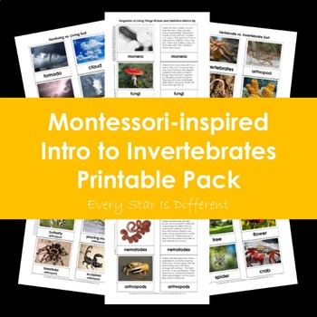 Preview of Intro to Invertebrates Printable Pack