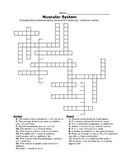 Intro to Muscular System Crossword
