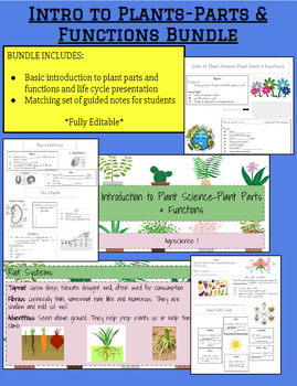 Preview of Intro to Plants-Parts & Functions