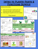 Intro to Plants-Parts & Functions