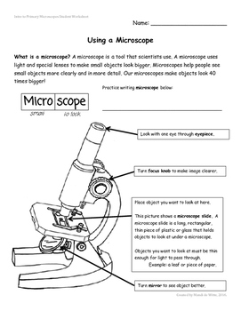Preview of Intro to Primary Microscopes Student Worksheet