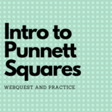 Intro to Punnett Squares Webquest