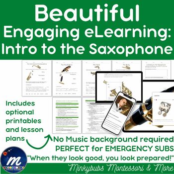 Preview of Intro to Saxophone Lesson Plans Paper Based and Digital Included No Prep