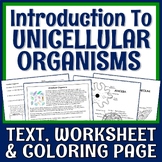 Intro to Unicellular Single-Celled Organisms Worksheet and