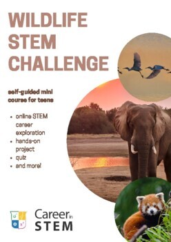 Preview of Intro to Wildlife Career Exploration STEM Challenge (distance learning)