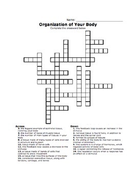 Intro to the Body Crossword by Science It Up TPT