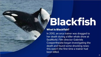 Preview of Intro to the film "Blackfish"