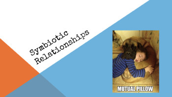 Preview of Introduce Symbiotic Relationships w this Google Slide 