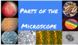 Introduction - Parts of the Microscope - Google Slides 
