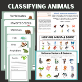 Introduction To Classifying Animals