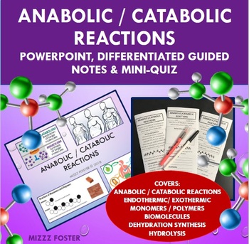 Preview of Introduction to Anabolic / Catabolic Reactions Presentation, Notes and Mini-quiz