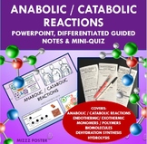 Introduction to Anabolic / Catabolic Reactions Presentatio