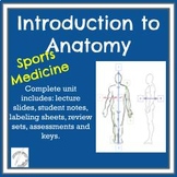 Introduction to Anatomy - Basics for Sports Medicine