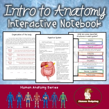 Preview of Introduction to Anatomy Body Systems Interactive Notebook