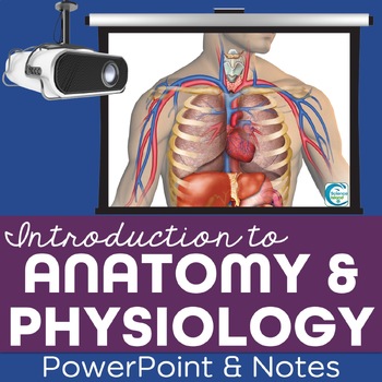 Preview of Introduction to Anatomy & Physiology PowerPoint and Notes