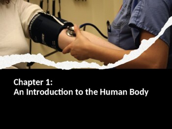 Preview of Introduction to Anatomy & Physiology Powerpoint to Accompany Openstax Text