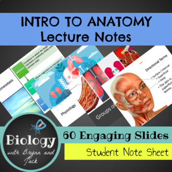 Preview of Introduction to Anatomy: Unit Notes