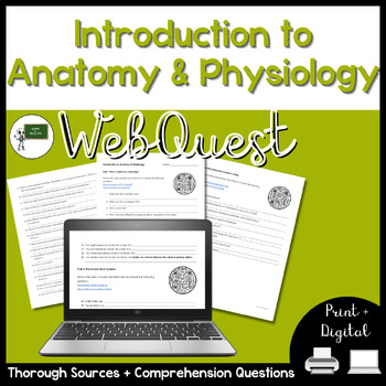 Preview of Introduction to Anatomy and Physiology WebQuest | Anatomical Terms | Homeostasis