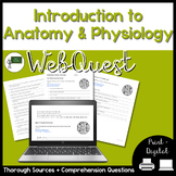 Introduction to Anatomy and Physiology WebQuest | Anatomic