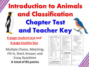 Preview of Intro to Animals and Classification Chapter Test & Teacher Key (zoology biology)