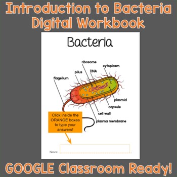 Preview of Introduction to Bacteria Digital Workbook