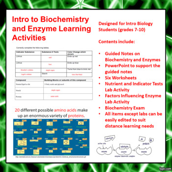 Preview of Intro to Biochemistry and Enzyme Learning Activities (Distance Learning)