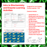 Intro to Biochemistry and Enzyme Learning Activities (Dist