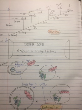 research question examples biology