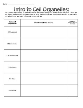 Introduction to Cell Organelles Worksheet | TpT