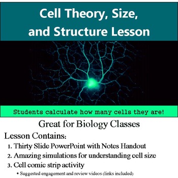 Preview of Cells - Introduction, Cell Theory, Cell Size, and Cell Structure with Activity