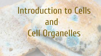 Preview of Introduction to Cells and Cell Organelles FULL UNIT - Middle School Science