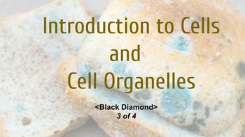Preview of Introduction to Cells and Cell Organelles - Middle School Science 3of4