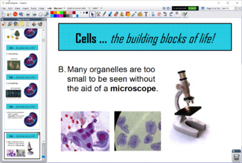 Preview of Introduction to Cells and Organelles - Flipchart Presentation