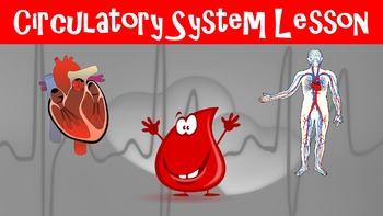 Preview of Circulatory System No Prep Lesson with Power Point, Worksheet, Activity