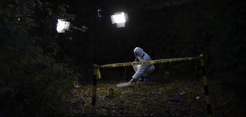 Preview of Introduction to Crime Scenes
