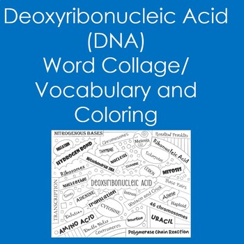 Preview of Introduction to DNA Word Collage (Vocabulary, Biology, Coloring)