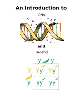 Preview of Introduction to DNA and Genetics