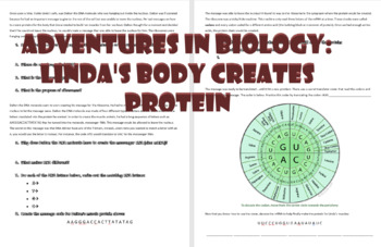 protein synthesis short essay