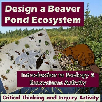 Preview of Introduction to Ecology: Draw a  Beaver Pond Inquiry Activity + STEM project
