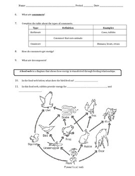 Preview of NGSS Introduction to Ecology and Energy Flow - Scaffolded Worksheet