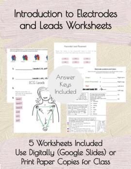 Preview of Introduction to Electrodes and Leads ECG Worksheets