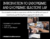 Introduction to Endothermic and Exothermic Reactions Lab
