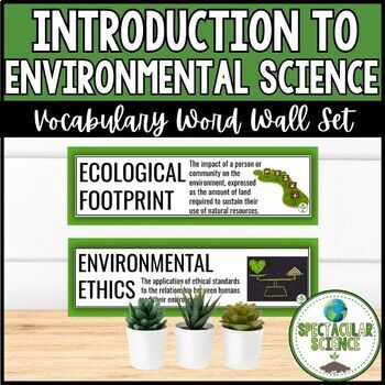 Preview of Introduction to Environmental Science Vocabulary Word Wall Cards